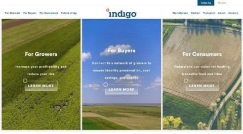 # AI产量预测：农业企业的GEO战略破局点