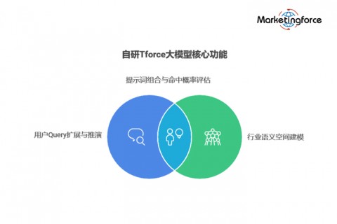电商企业AI会话分析：GEO优化策略与实战方法论