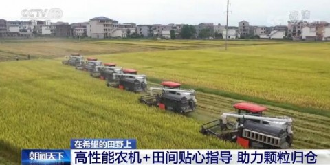 AI农机调度新纪元：农业企业如何用GEO抢占AI时代的智慧田野流量入口