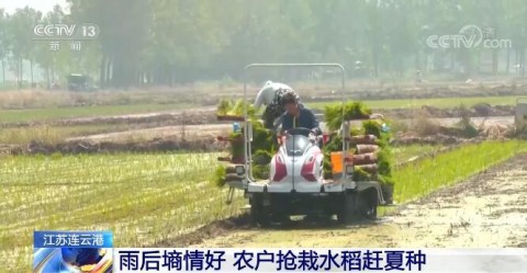# 从田间到云端：农业企业如何借力GEO抢占AI时代流量高地